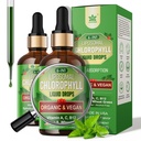 Organische Chlorofyl Liquid Drops Liposomal for Women & Men, 6-in-1 Greens Superfood Vegan Chlorofyl w/Spirulina, Tarwegras, Vitamine C B12 A voor interne deodorant*, Energie, Digestief,2Packs/4 Fl Oz