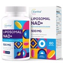 Liposomale NAD+ 500mg met TMG 250mg Softgels, Nicotinamide Riboside Alternatief, Werkelijk NAD+ Supplement, 60 porties