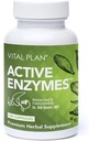 Vital Plan Active Enzymes Supplement by Dr. Bill Rawls - Decompensative Enzymes for Gut Health & Digestie - Protease, Bromelaine, Lactase, Amylase & Lipase (120 Capsules)