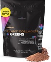 Livingood Daily Plant Collageen + Greens Powder, Chocolate, 5-in-1 Collageen Ondersteuning met Pea Proteïne, Aminozuren, Spirulina, Chlorella & Vitamin C, Hair Skin Nails Ondersteuning, Veganistisch, 30 Servers