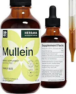 Mullein Leaf 4 fl oz Liquid Extract - Natural Long Cleanse & Detox Supplement - Respiratory Health and Immune Support Tinctuur - Family Size - High Potency Drops - 90-Day Supply