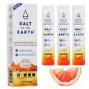 Zout van de Aarde Premium Zero-Sugar Electrolyte - Gemaakt met roze Himalaya Zout - Hydration Powder Packets 