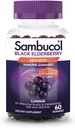 Sambucol Zwarte Vlierbes Gummies - Vlierbes met zink en vitamine C voor volwassenen, Sambucus Gummies, Immune Support - 60 Tellen