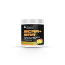 BCAA + EAA + Elektrolyten 