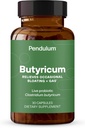 Pendulum GI Reparatie Een Probiotica Supplement en mannen - Verhoogt Butyrate, Verbetert Gut Health, Verlicht Occasional GI Ongemak, Opgeblazen, & diarree. Bevat Clostridium Butyricum, 30 Count