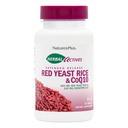 NaturesPlus Actifs à base de plantes Riz de levure rouge 600mg & CoQ10 100mg, libération prolongée - 30 comprimés végétaliens - supplément de puissance maximale, antioxydant - végétarien, sans gluten - 30 portions