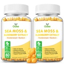 Sea Moss Gummies for Adults and Kids, 2000mg Raw Seamoss, Bladderwrack, Burdock Root, Elderberry, Pepper, Vitamine C & D3, Zink ondersteunt Immune System & Boost Energy (2-pack)