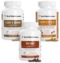 Real Paddestoelen Hersenen, vitaliteit & Immune Support Bundle - Lion