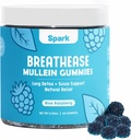 Mullein Gummies for Longs - Long Detox Gummies - Dagelijkse adembenemende gezondheidsondersteuning - Reiniging voor rokers - Allergie, Sinus, en Mucus Relief - Mullein Leaf Extract for Longs