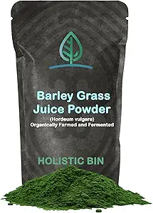 Poudre de jus d'orge biologique - 100% pur USDA biologique - Fermenté avec 35 souches probiotiques - Superfood vert nutritif pour les smoothies - Supports Digestion - 30 jours d'approvisionnement (50g)