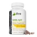 Jiva Botanicals Shilajit Capsules 700 mg 