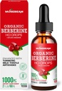 Biologische Berberine HCl 1000mg Liquid Drops - met Ceylon Cinnamon Turmeric Milk Thistle Artichoke - Hoge biologische beschikbaarheid Supplement voor mannen Vrouwen - Vegan Sugar Free Gluten Free 2fl. oz (60ml)