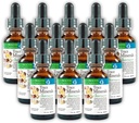 Morter Trace Minerals in Collective Suspension (12 Pack) Morter HealthSysteem Best Process Allyne