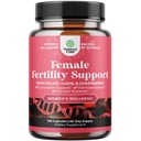 Vruchtbaarheidssupplement voor vrouwen met prenatale multivitaminen - vrouwelijke vruchtbaarheid Ondersteuning met prenatale Choline Inositol Folate Chasteberry en CoQ10 Vruchtbaarheid Blend voor vrouwen te bevorderen snellere ontvangst