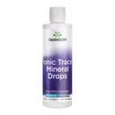 Swanson Concentrace Trace Mineral Drops 8oz-Complete Mineral Complex for Energy, Hydration, & Electrolyte Balance Over 72 High Absorptie Ionische Mineralen zoals Magnesium, Kalium, Calcium (2 Pack)