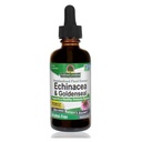 Nature's Answer Enchinacea & Goldseal Ondersteunt een gezond immuunsysteem Super Pure Extract Alcoholvrije, Glutenvrije, Veganistische en Kosher Certified 2oz