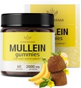 HERBAMAMA Mullein Gummies for Longs - 2000mg Mullein Leaf for Lung Detox & Cleanse - Vegan, Non-GMO, Respiratory Support Supplement - 60 Pectin-based Banana-Flavored Chews
