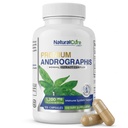Natural Cure Labs Premium Andrographis Paniculata Extract 1.200mg met 100mg Andrographolides Vegan Capsules voor Immune & Digestieve Ondersteuning, Non-GMO, Glutenvrij, Kruidendieetsupplement