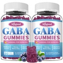 2 Pack GABA Gummies for Adults, Relaxation, Zzz & Mood 