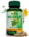 KIKI Green Mullein Leaf Extract Capsules - Vegan Herbal Supplement - voor Longreiniging, Ondersteuning, Betere ademhaling, Immuunfunctie - 1000mg 45 porties - 90 Tel.
