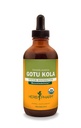 Herb Pharm Certified Organic Gotu Kola Liquid Extract voor ondersteuning van het skeletspierstelsel - 4 Ounce