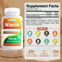Best Naturals Niacin 500mg 250 tabletten met flushing - ook wel vitamine B3 (250 Tellen (pakket van 2))