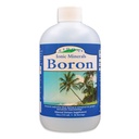 Eidon Liquid Boron Drops - Ionic Mineral Boron Supplement, Essential Element to Support Brain Health, Bio available, No Conservatives or Additives - 18 oz