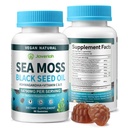 Gommies Vegan Ashwagandha de mousse de mer - Huile de graines noires, vitamine C et D pour le soutien immunitaire, digestif, antioxydant 13 en 1 ensemble, mousse de mer Chlorophylle Formule de force avancée 2Pack 120 Gommies