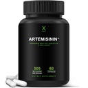 HumanX Artemisinin 505mg met bioperine voor grotere absorptie - Ondersteunt gezonde veroudering, spijsvertering en immuniteit - VS derde partij getest - Vegan, niet-GMO - Artemisia Annua - Sweet Wormwood Extract