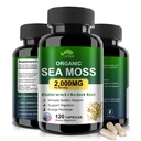 Biologische Sea Moss Capsules met Bladderwrack, Burdock Root en Black Pepper Extract-Irish SeaMoss Pillen 2000mg-Promotes Immune System,Thyroid Support(120 Capsules)