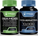 WELNESS LABSRX Resveratrol Capsules met Sea Moss Capsules