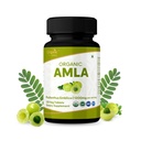 Amla 120 tabletten 