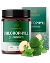 HERBAMAMA Chlorofyl Detox Gummies - 50mg Natrium Koper Chlorofyl Internal Deodorant for Body Odor Support - Vegan, Non-GMO Antioxidant Supplement - 90 Pectin-Based Apple-Flavored Kauwen