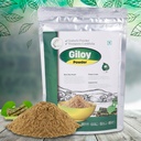 SVATV Giloy Powder 