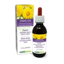 Naturalma Dandelion (Taraxacum officinale) Racine et herbe Teinture sans alcool - 4 fl oz Extrait liquide dans les gouttes - Supplément à base de plantes - Vegan