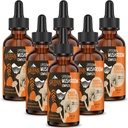 Liposomal Mushroom Complex Drops 2000 MG - 20 Biologische Paddestoelen Extracten - Advanced Liquid Formula for Immunity, Cognitive and Memory - Lions Mane Supplement, Reishi, Cordyceps, Chaga, 180 Servings