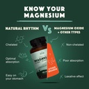 Natural Rhythm Calm Digestion Bundle - Triple Calm Magnesium (120 Capsules) + Digestief Calm Probiotic (60 Capsules)