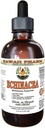 Echinacea Alcoholvrije Liquid Extract, Biologische Echinacea (Echinacea Purpurea) Gedroogde kruiden Glycerite Hawaii Pharm Natural Kruidensupplement 4 oz