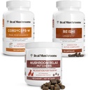 Echte Paddenstoelen Reishi & Cordyceps voor mensen en paddo's Dieren Relax Kauwen - Bundel voor ontspanning, energie en immuniteit - Veganistisch, niet-GMO, Glutenvrije, Grain-vrije paddo Extract Supplementen