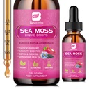 Sea Moss Liquid Drops - Biologische Black Seed Oil Irish Sea Moss Gel met Burdock Root, Bladderwrack, Vlierbes, Vitamine C, D3, 6X Sterkere Seamoss Gel voor Digestief, Hair Health - Vegan