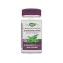 Nature's Way Premium Extract Andrographis, Immune Support*, 300 mg Andrographis Extract per portie, 60 capsules