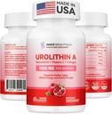 Urolithine A Supplement 1400 MG - Non-GMO, Glutenvrij, Anti-aging, Cellular Revitation, Muscle Strength, Endurance & Longevity Support, Liposomal Urolithin A, 60 Tel.