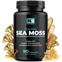 Irish Sea Moss Capsules met biologische Irish Moss, 300mg Burdock Root & 500mg Bladderwrack Powder 