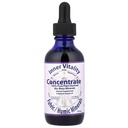 Innerlijke vitaliteit, concentratie, Fulvic/Humic mineralen, 2 fl oz