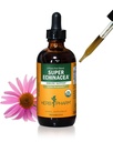 Herb Pharm Certified Organic Super Echinacea Liquid Extract for Active Immuun System Support - 4 Oz