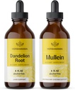 HERBAMAMA Herbal Liquid Drops Kit - Bundle of Dandelion Root and Mullein Leaf Tinctuur 4 fl oz - Vegan, Non-GMO, Sugar & Alcohol-Free - 2 Pack