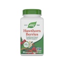 Nature's Way Berries Hawthorn - Soutien traditionnel à la santé cardiaque* - Projet non-OGM vérifié - Supplément à base de plantes - Sans gluten - 180 Capsules végétaliennes