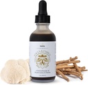 Focus & Energy Teinture de champignons naturels - gouttes de champignons adaptogènes et mélange organique personnalisé unique - Supplément pour stimuler, équilibre, calme, soutien cognitif et stress (2oz)