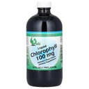 World Organics Chlorofyl Supplement Liquids, 100 mg, 16 Ounce, 16 Fl Oz (verpakking van 1)