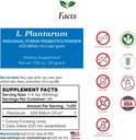 Aliments pour Gut Lactobacillus Plantarum poudre probiotique 400 Million de cfu fabriqués aux États-Unis Pas d'additifs directement du fabricant Pas de stockage tiers